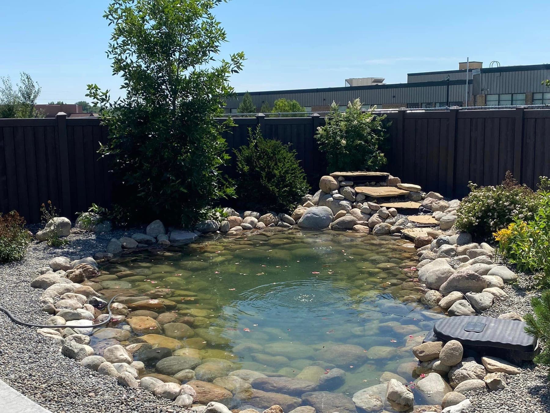 Pond Installation